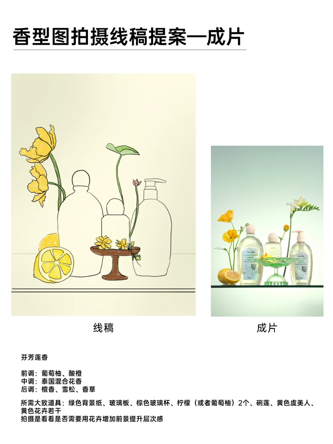 产品香型图拍摄方案手稿 (花卉水果版）