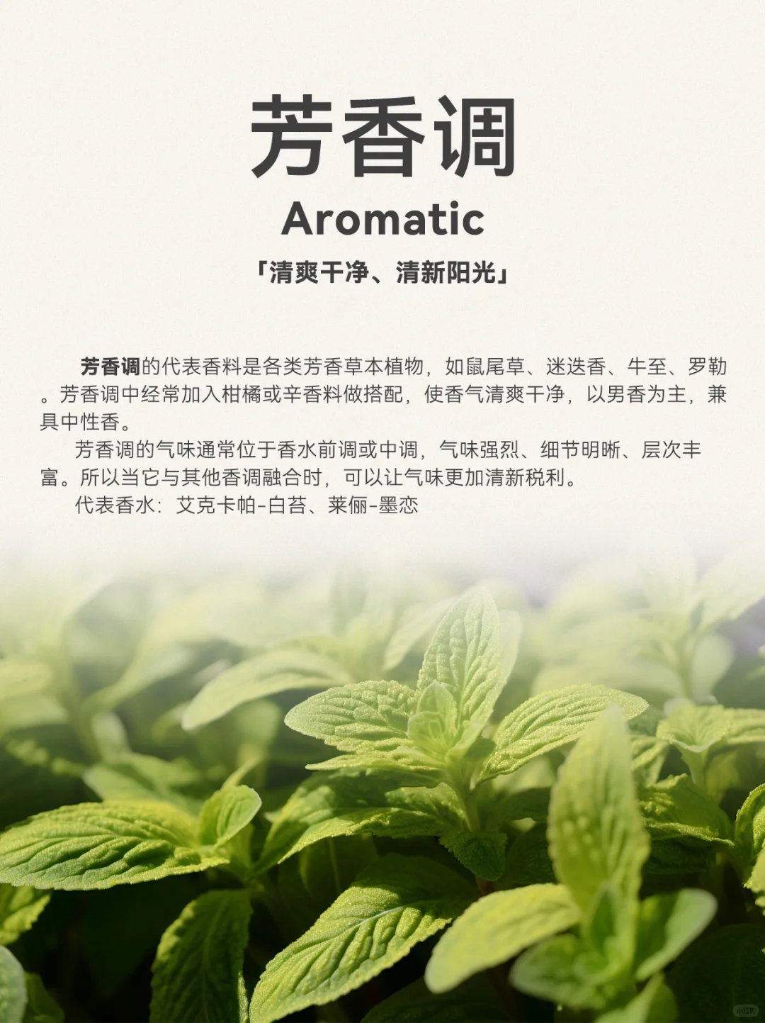 超详细香水12调，发现你的本命香 ❗️❗️