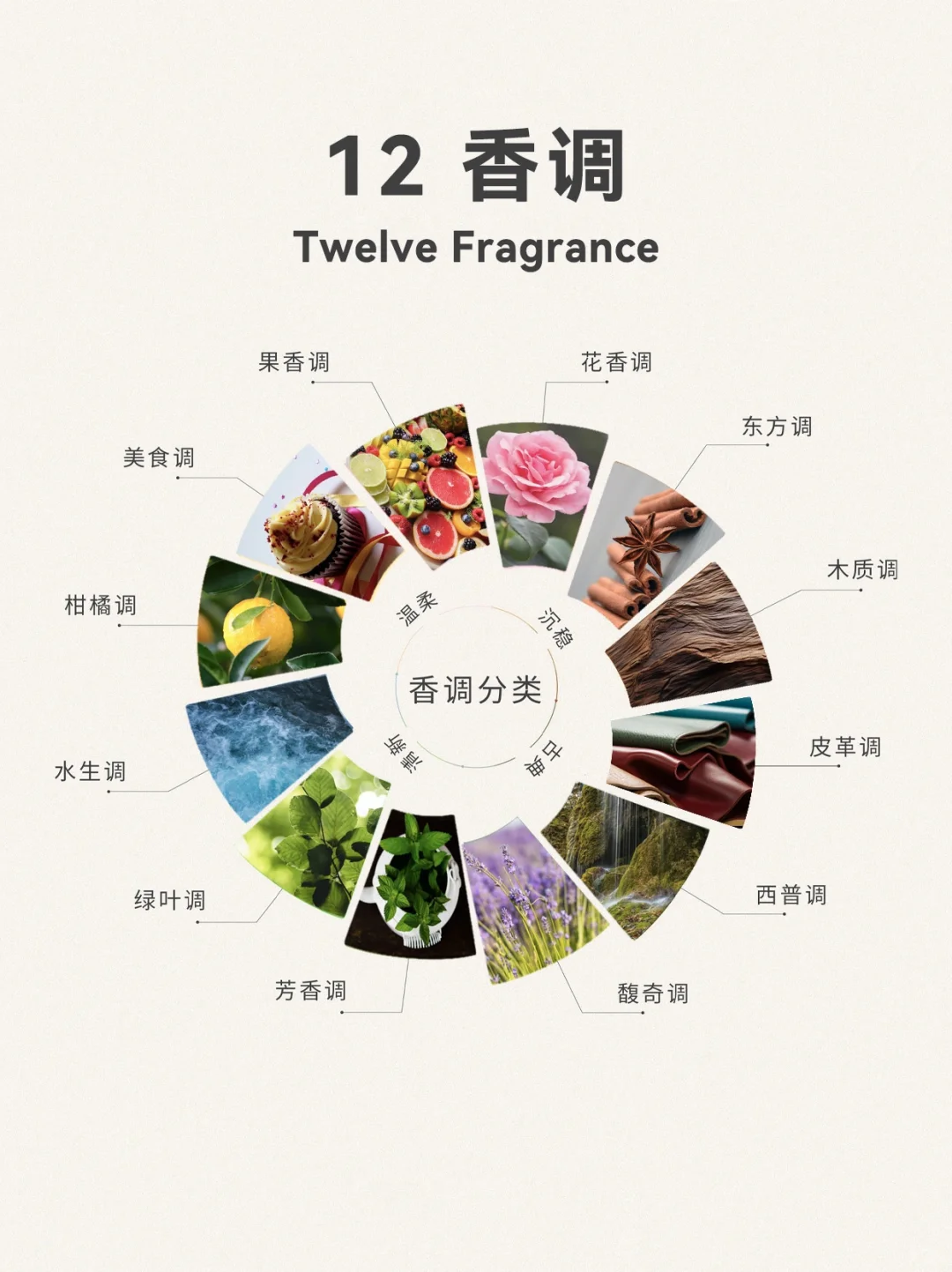 超详细香水12调，发现你的本命香 ❗️❗️