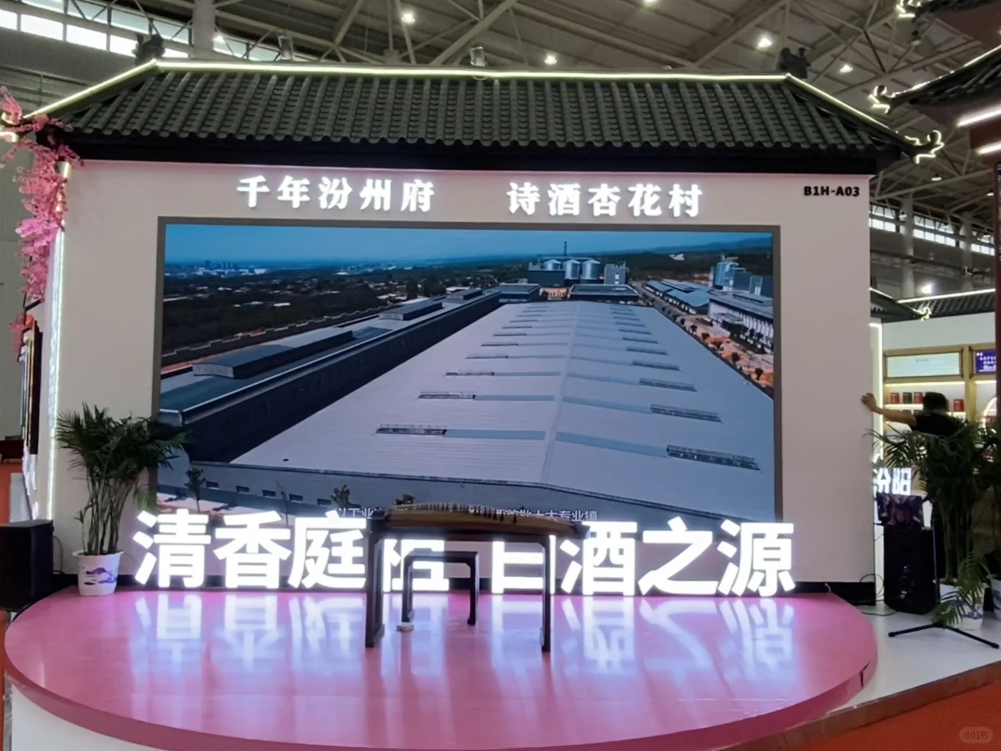 汉阳国博中心又有好玩的啦