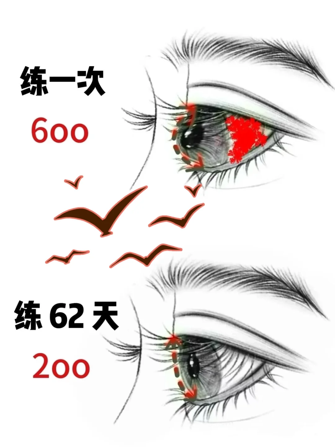 坚持练习下去，高度近视就会变为正常眼睛