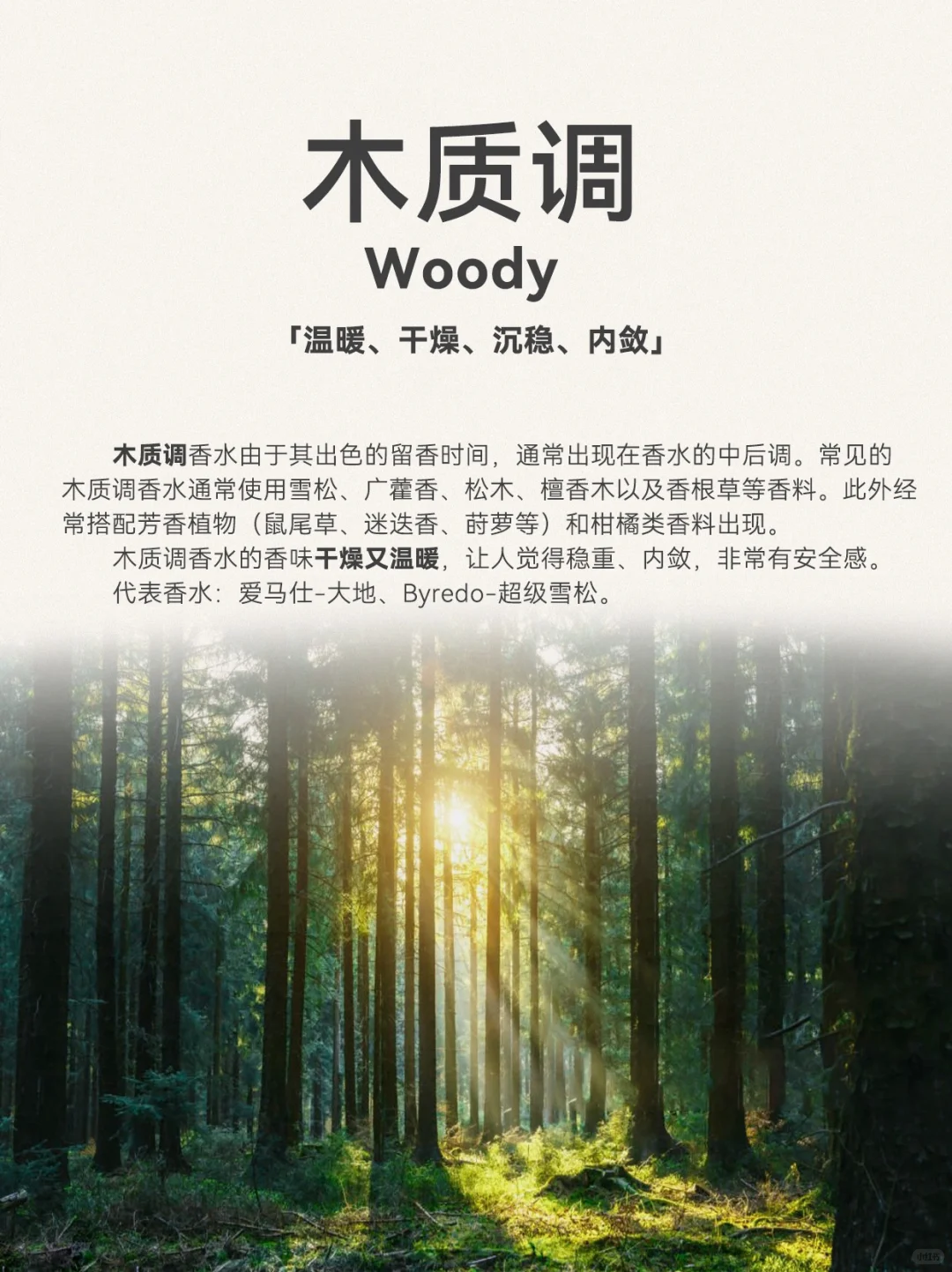 超详细香水12调，发现你的本命香 ❗️❗️