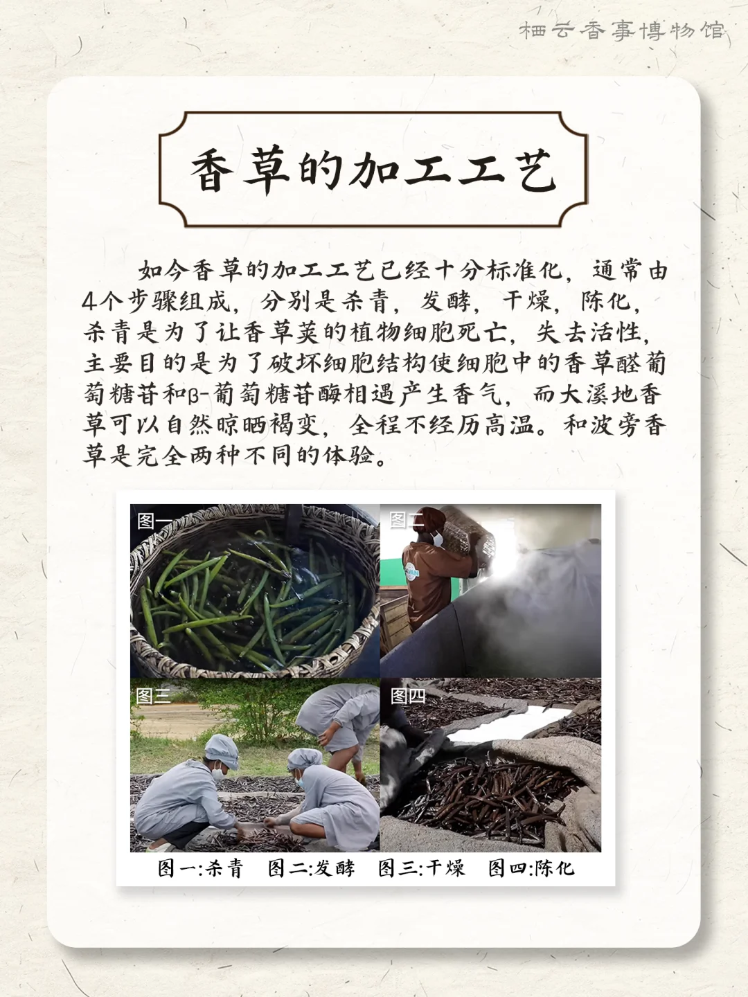 ? 每天认识一种香料之：香草