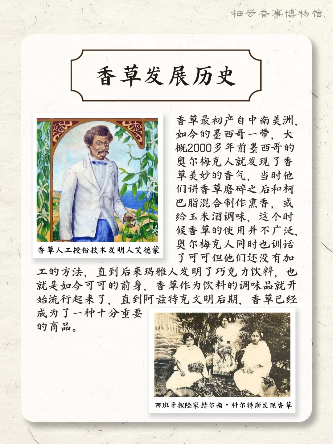 ? 每天认识一种香料之：香草