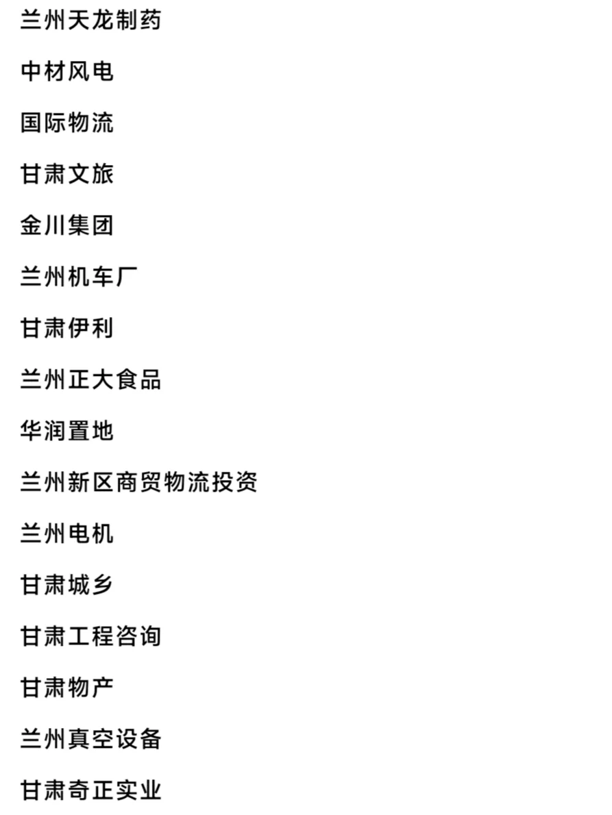 兰州头部企业