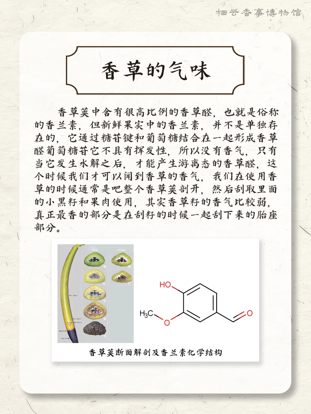 ? 每天认识一种香料之：香草