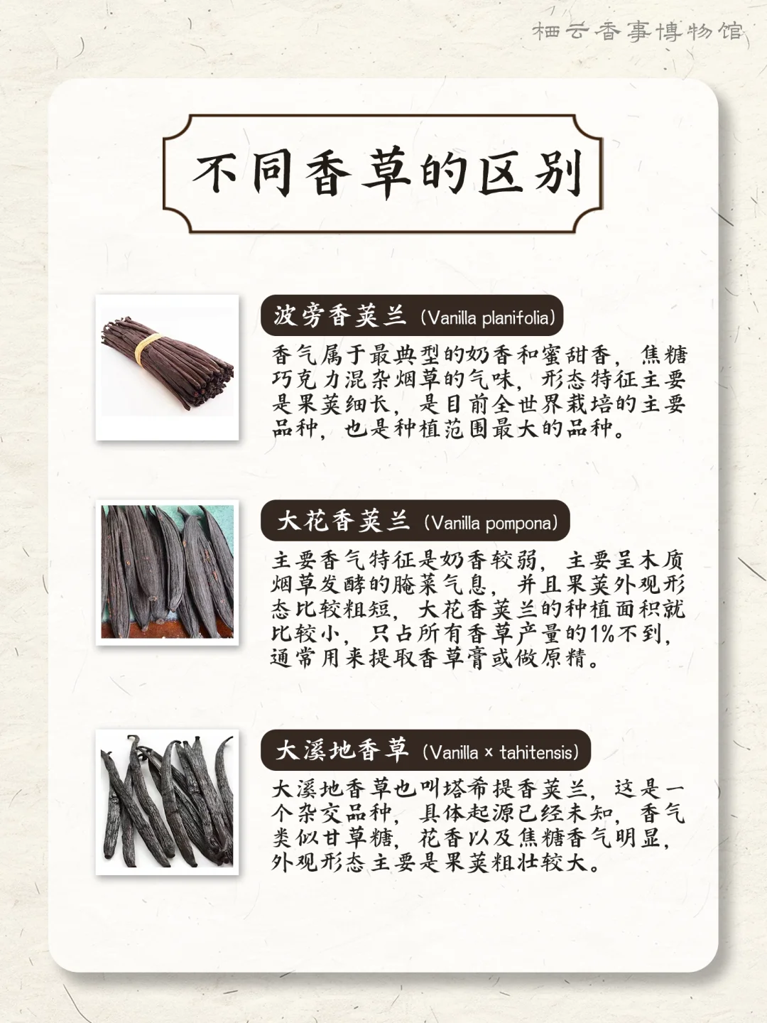 ? 每天认识一种香料之：香草