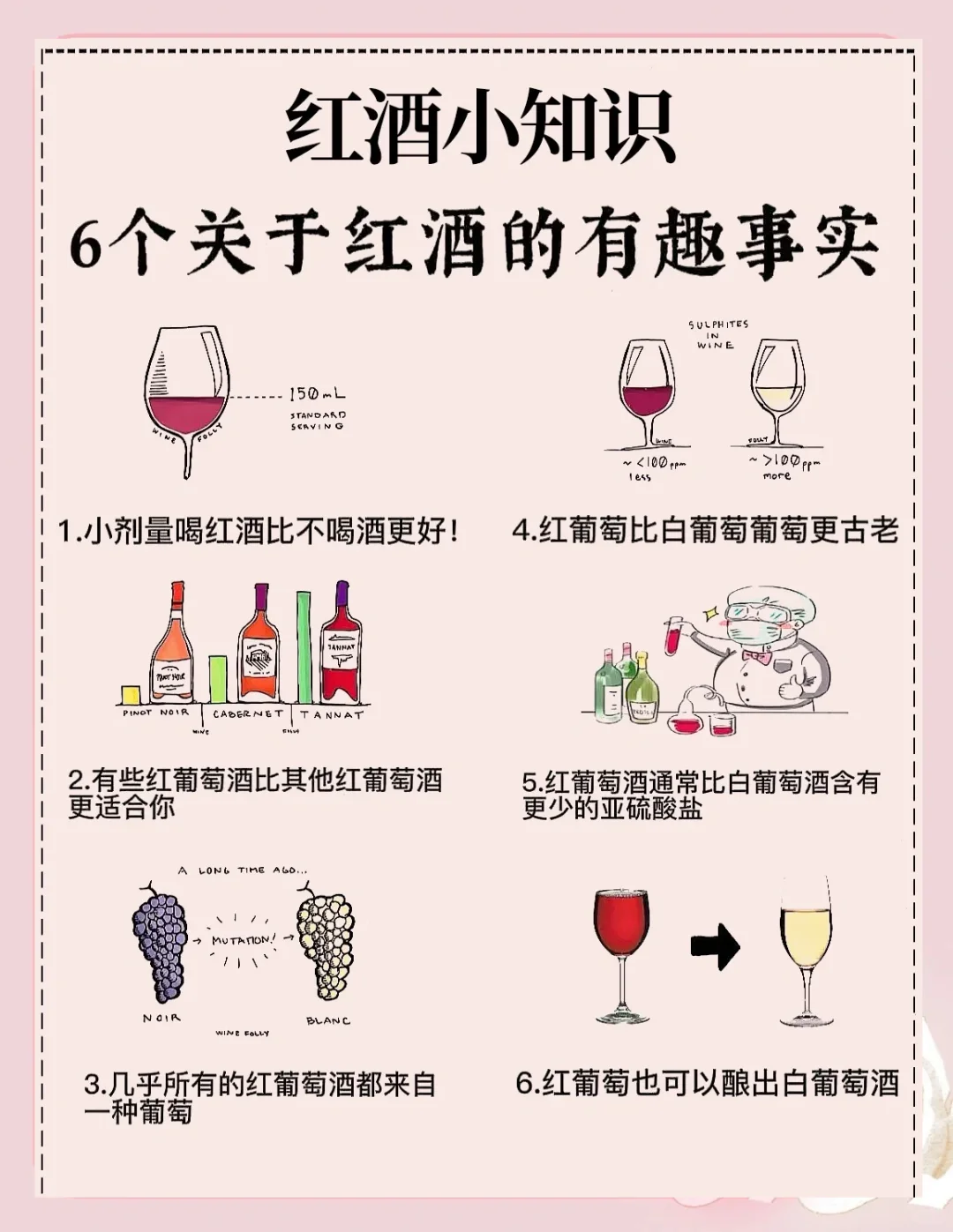 红酒知识科普——6个关于红酒的有趣事实