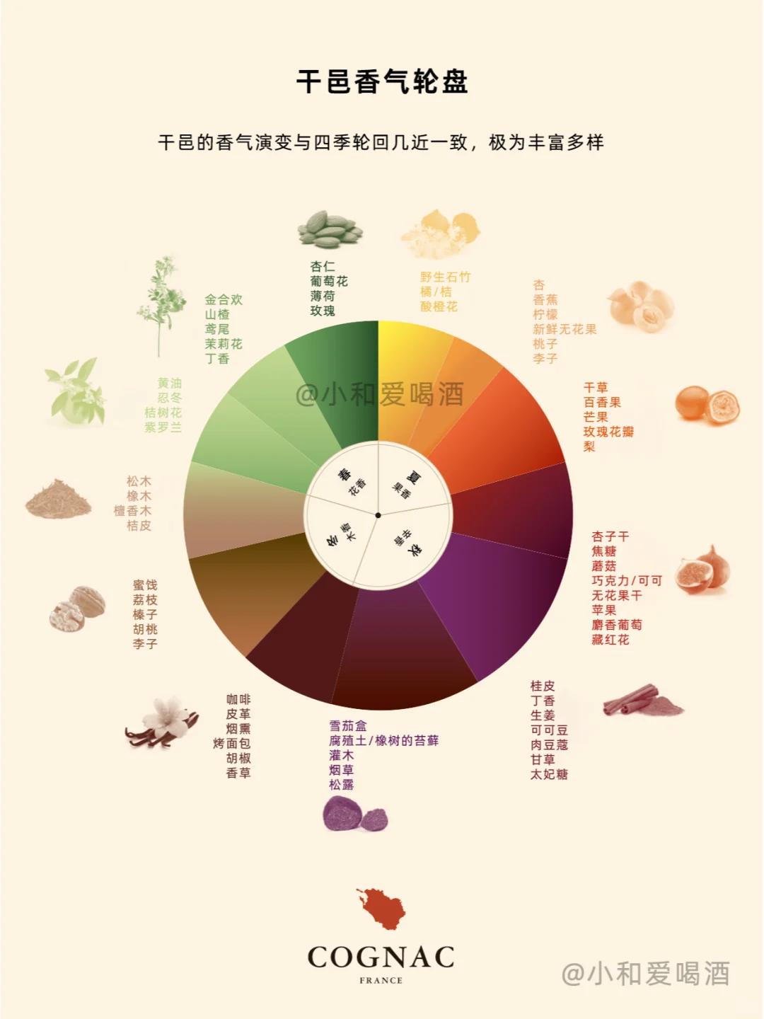 ?全网最全的干邑香气图（中文版）收藏！