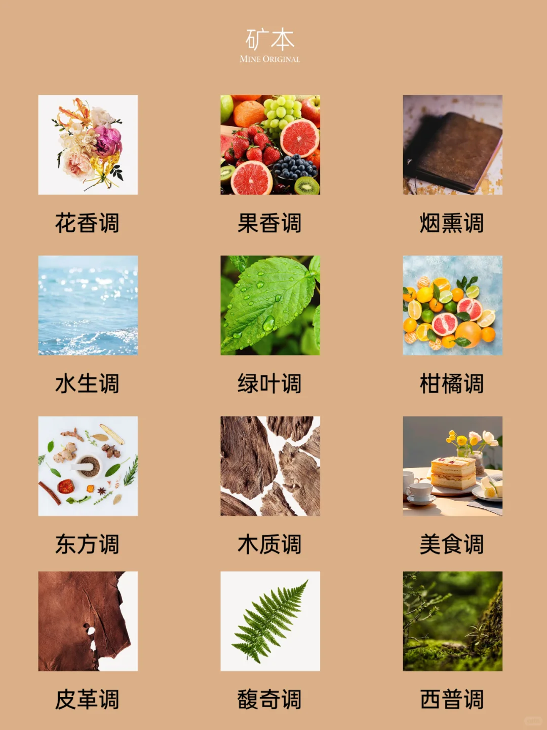 香薰香调图鉴来了！你喜欢哪一种香？