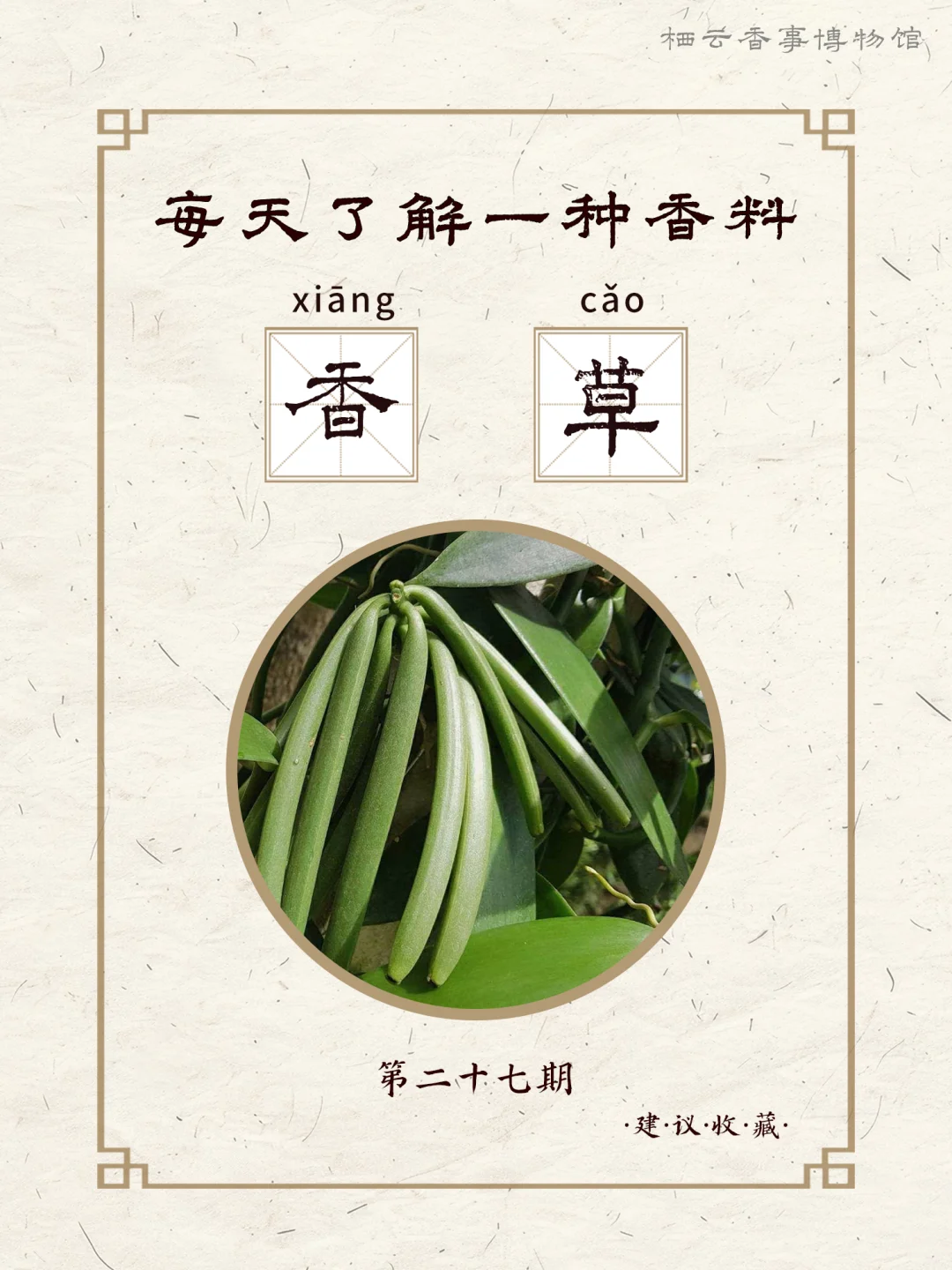 ? 每天认识一种香料之：香草