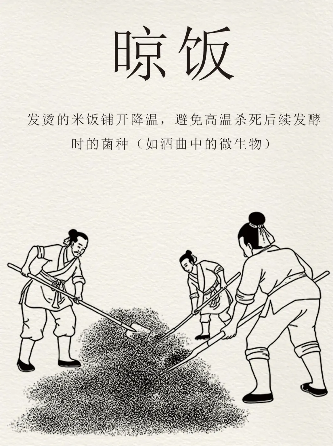 古法酿酒8大流程❗历久弥香东方酒