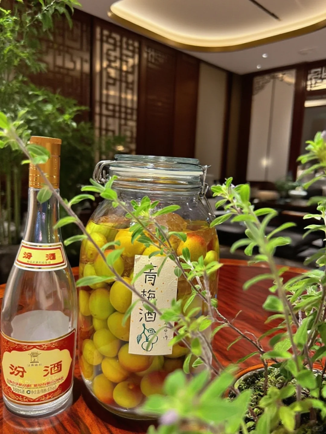 青梅汾酒论英雄