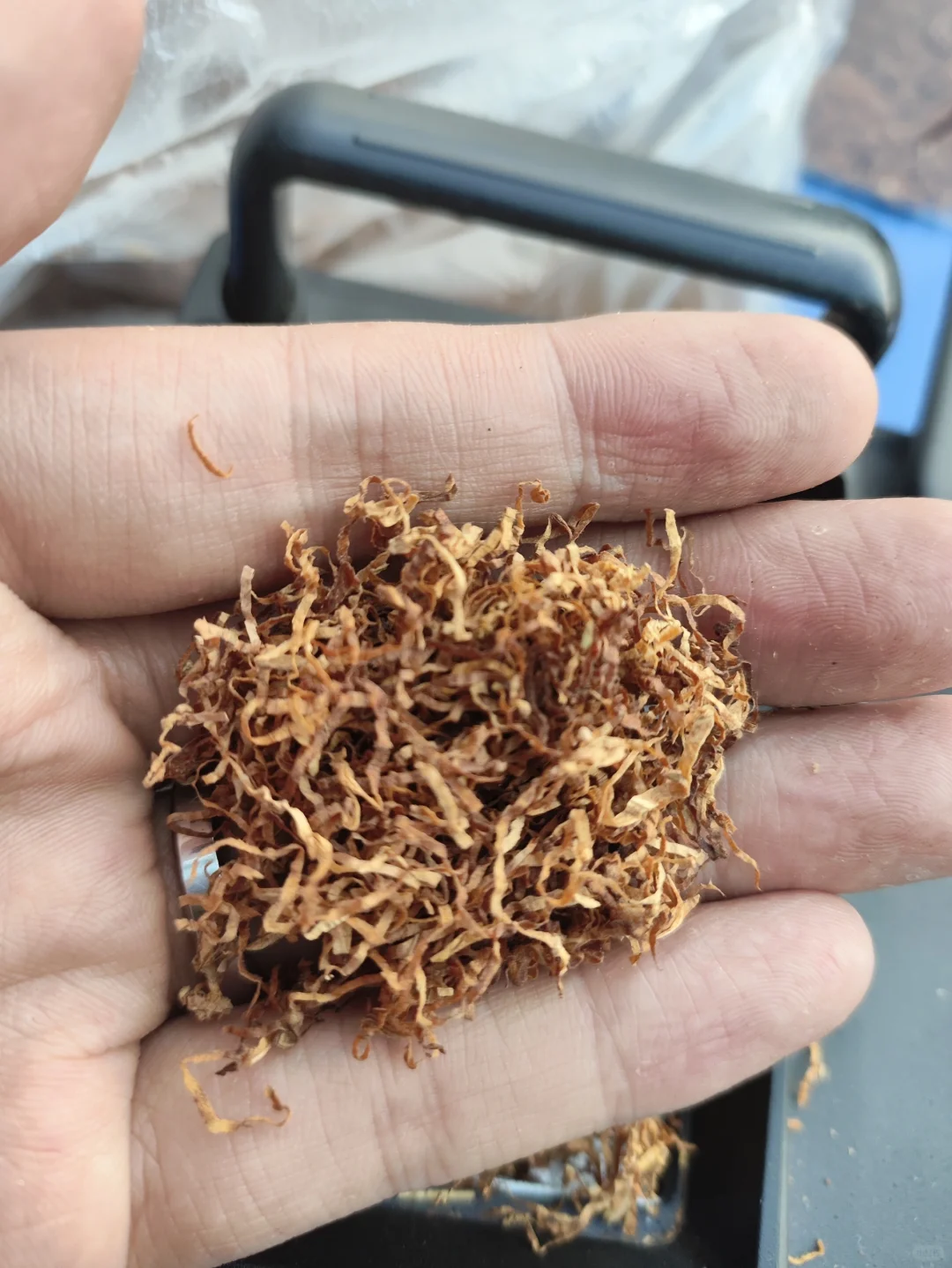 第一次尝试自己发酵丝