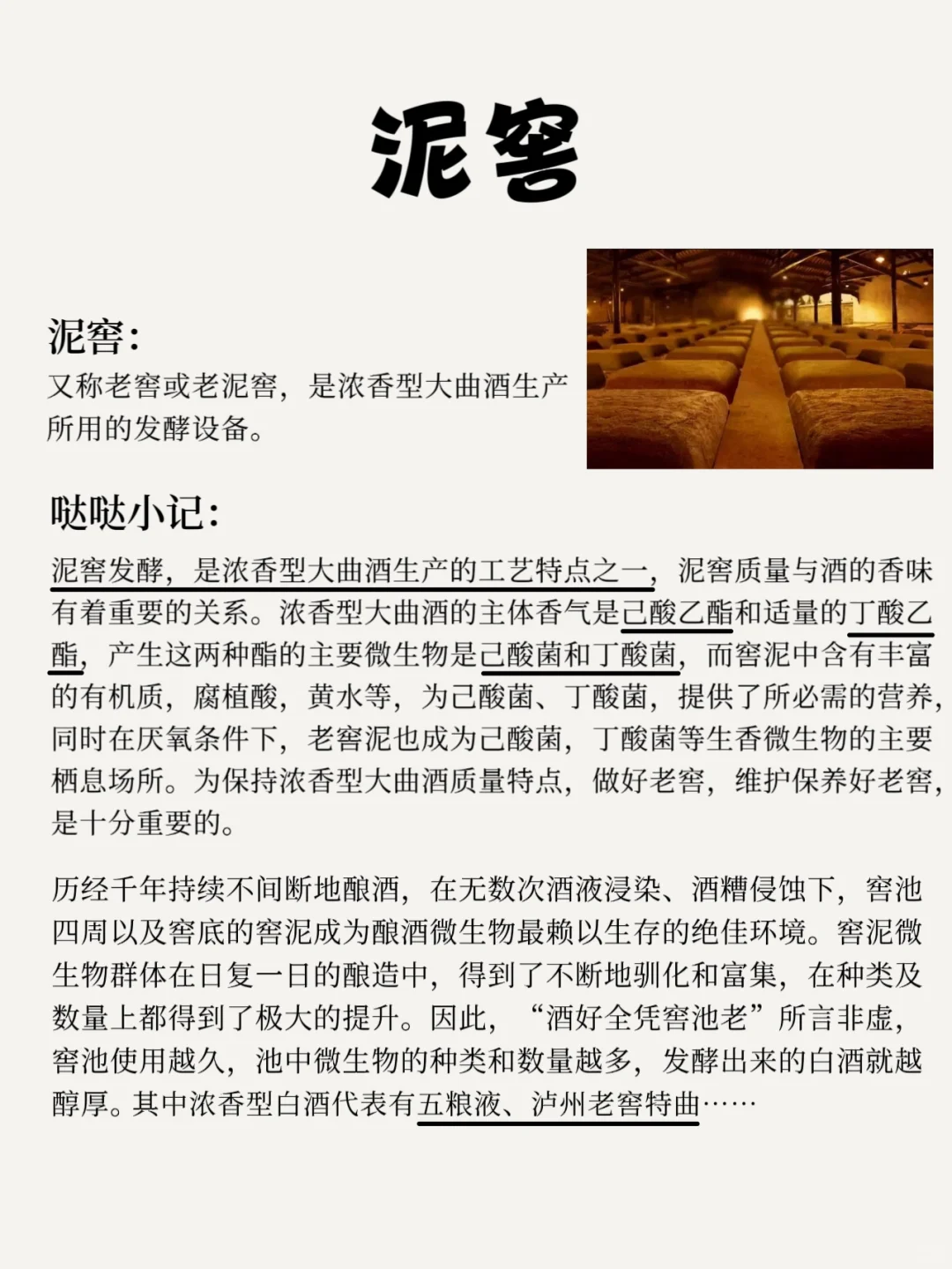 今日分享｜窖池越老酒越好？