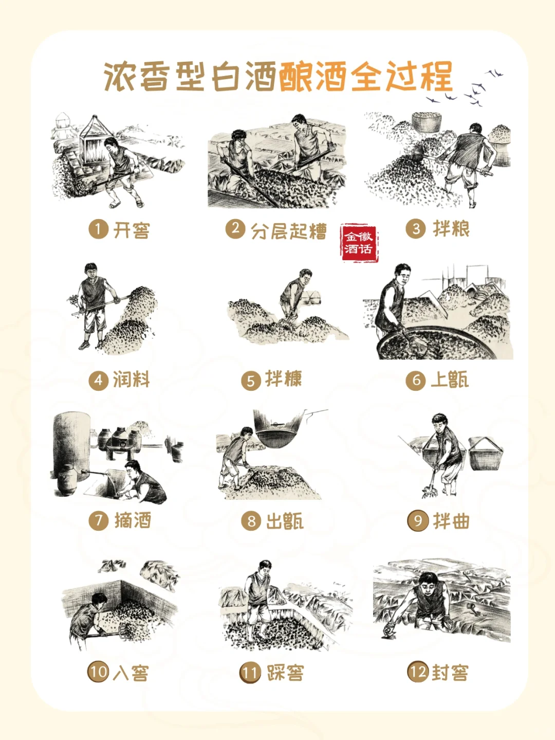 一张图看懂浓香型白酒?酿造全过程