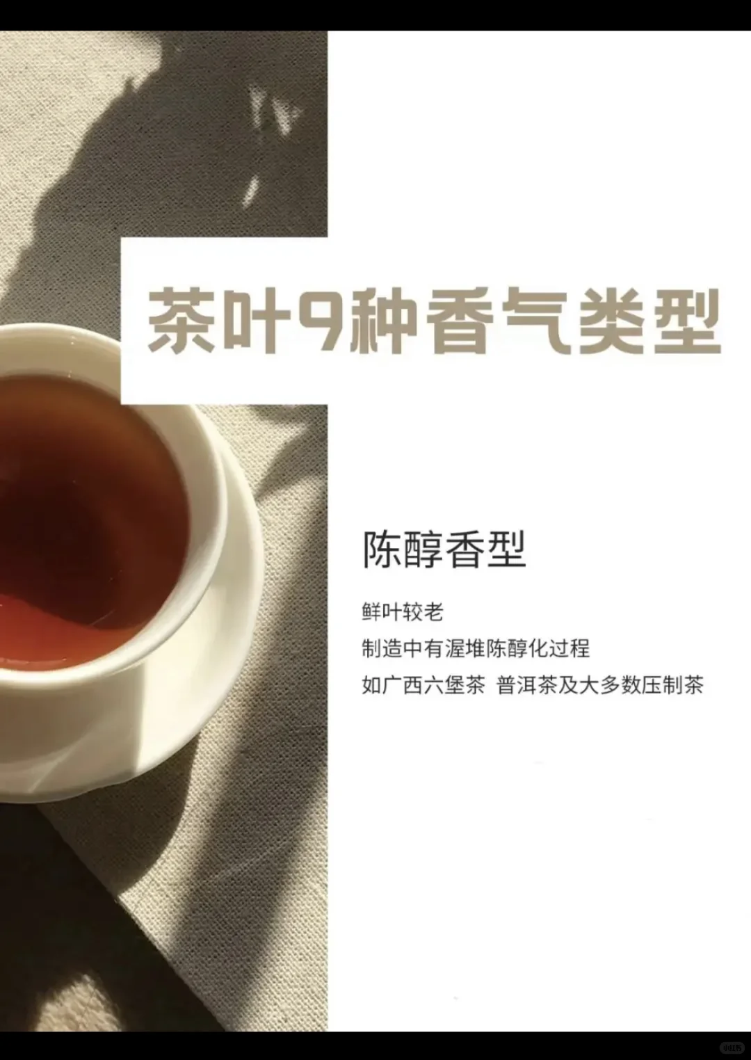 茶叶9种香型