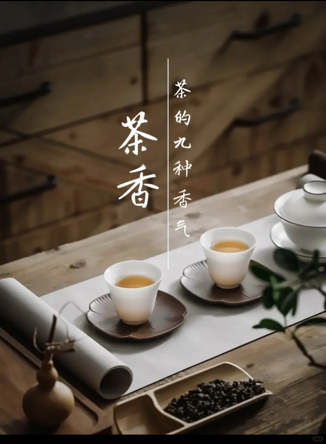 茶叶9种香型