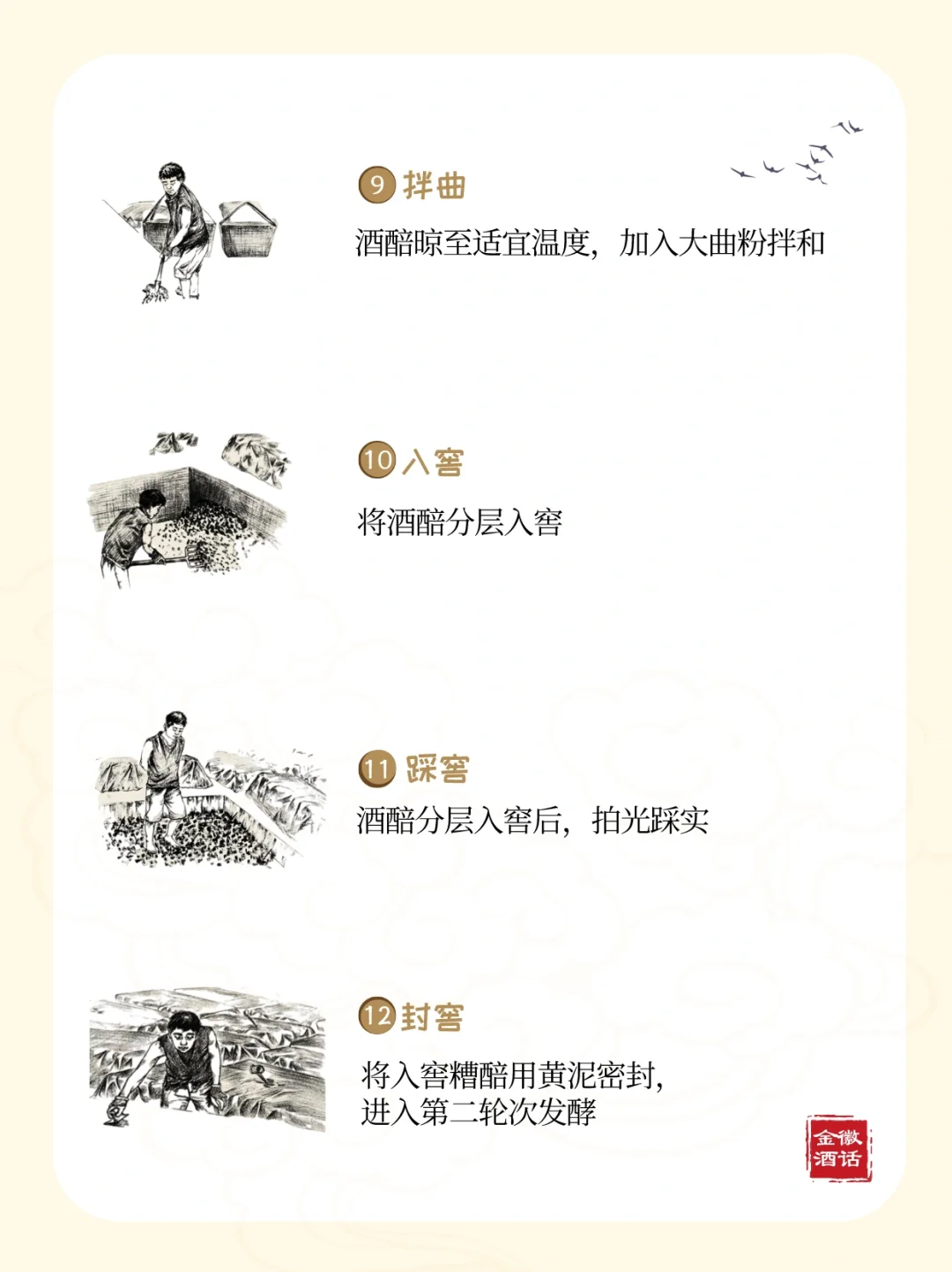 一张图看懂浓香型白酒?酿造全过程