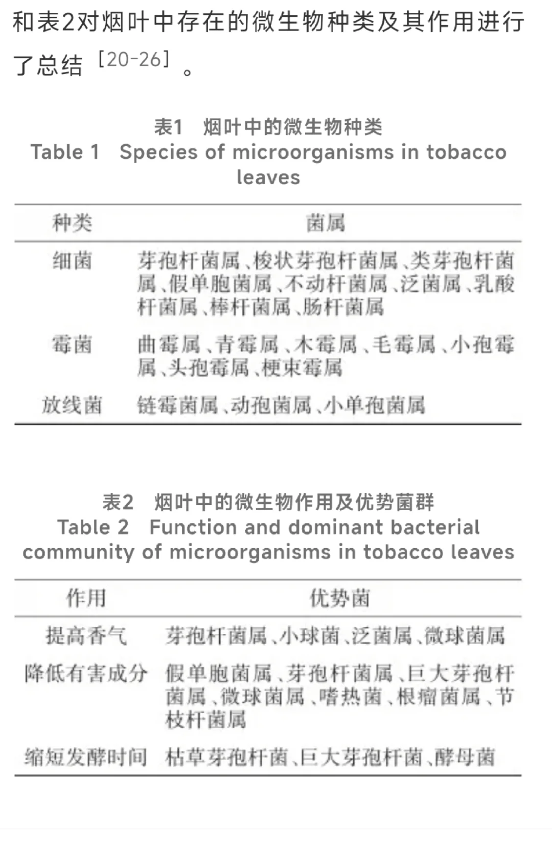 第一次尝试自己发酵丝