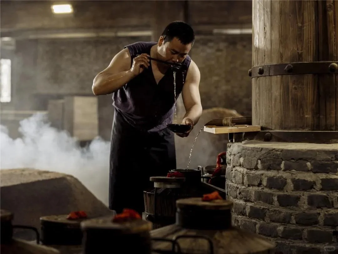 【酿酒七步骤】五粮浓香,你知道了吗??