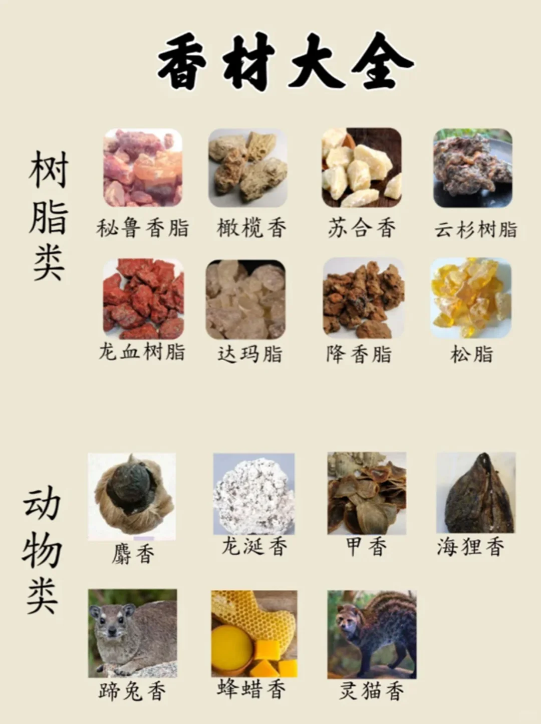 零基础学香料香料香谱大全❗