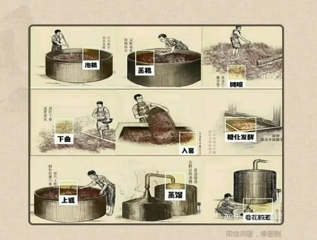 【酿酒七步骤】五粮浓香,你知道了吗??