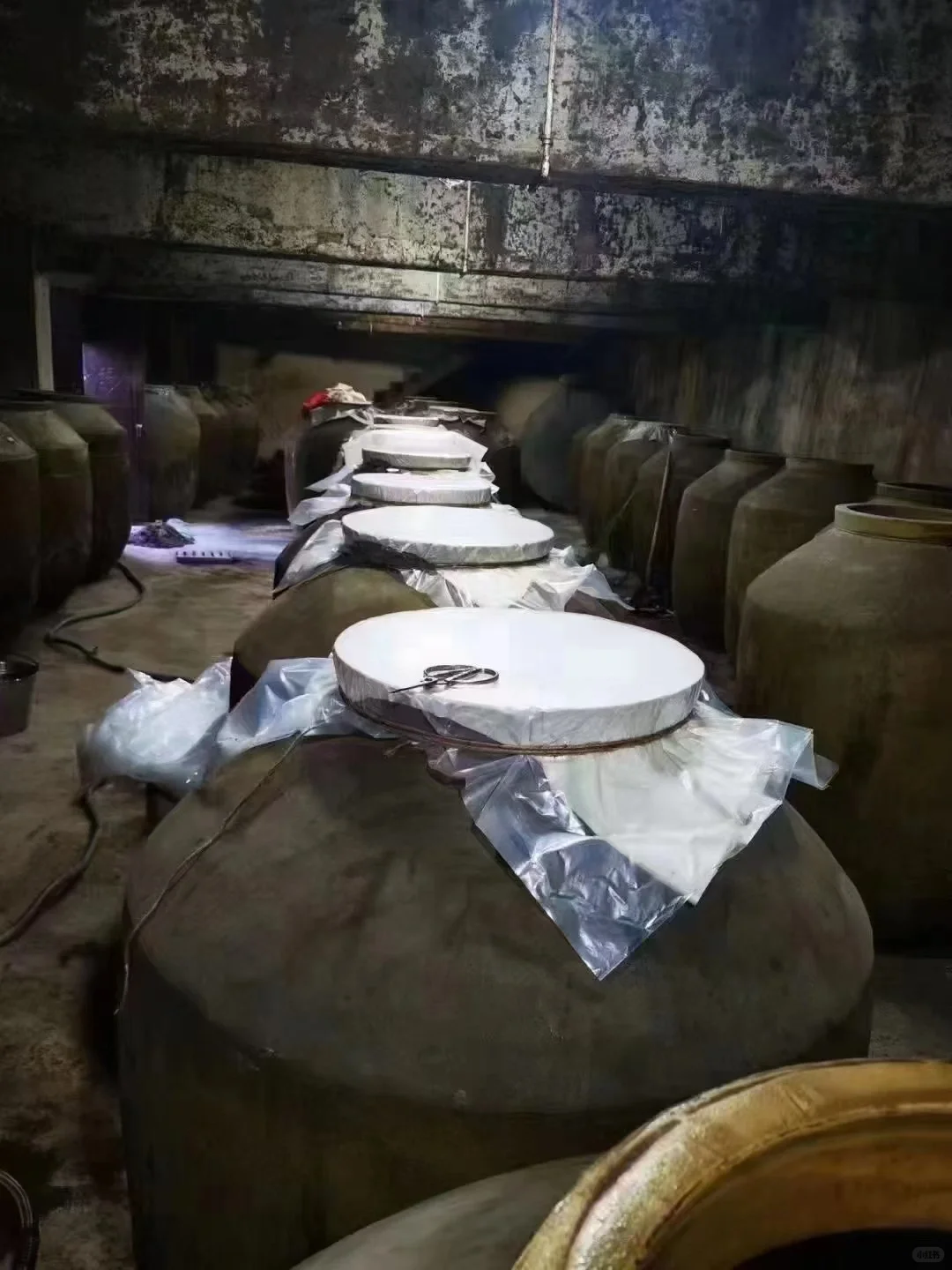 十几年珍藏老酒