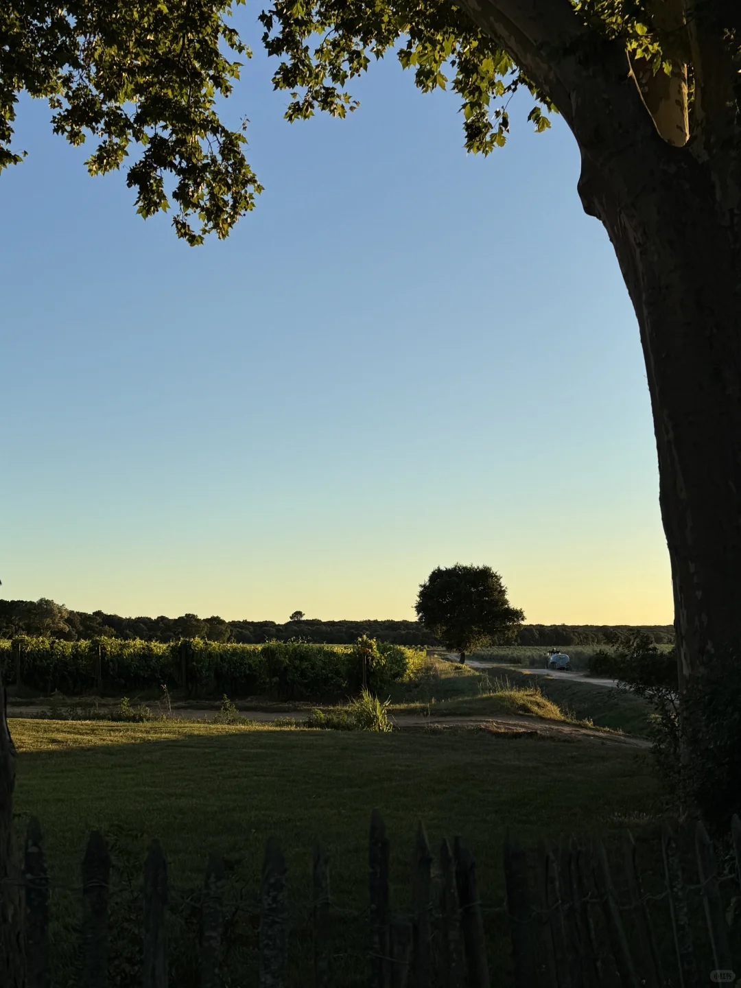 住进了南法的葡萄酒庄园