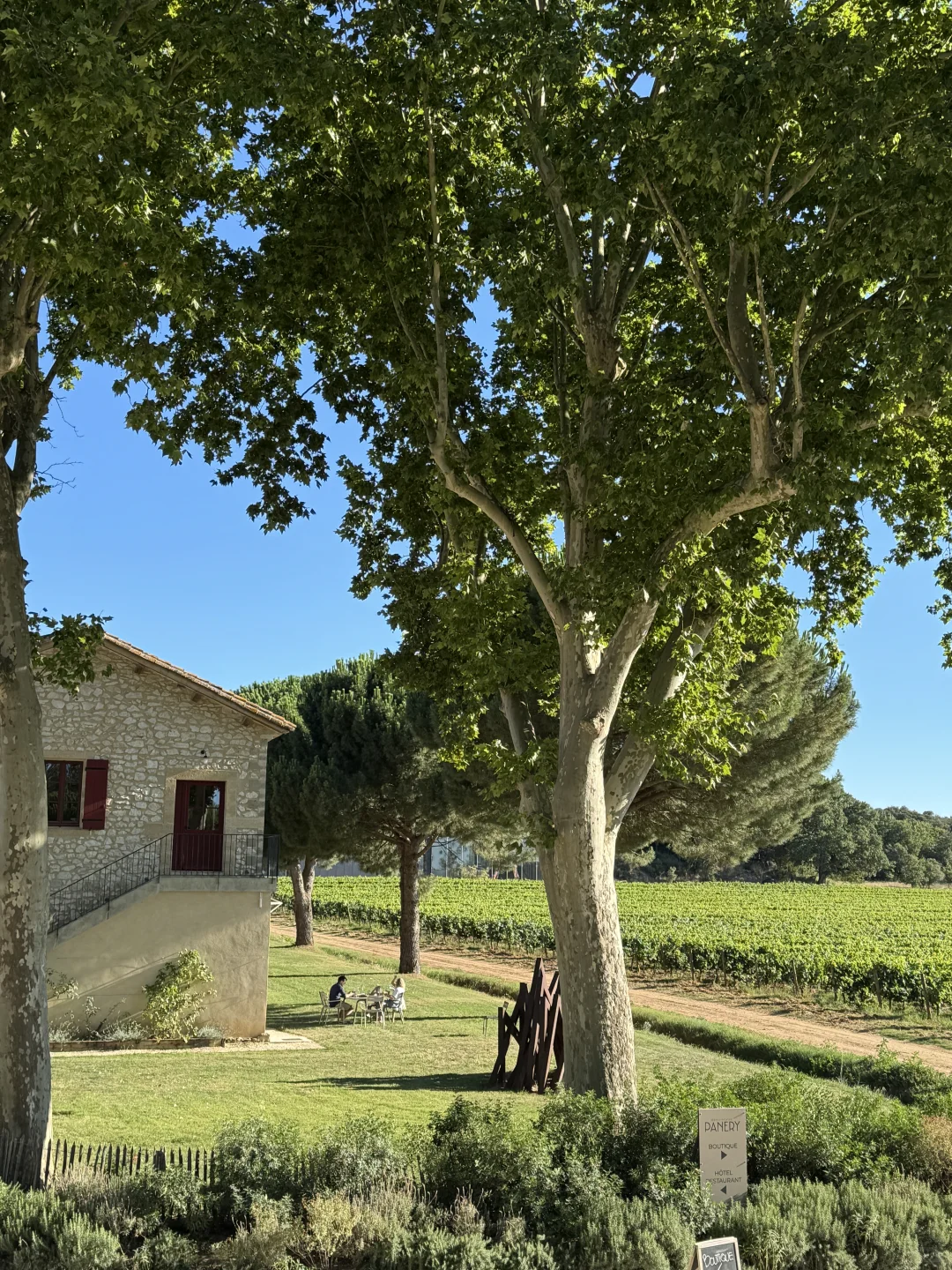 住进了南法的葡萄酒庄园