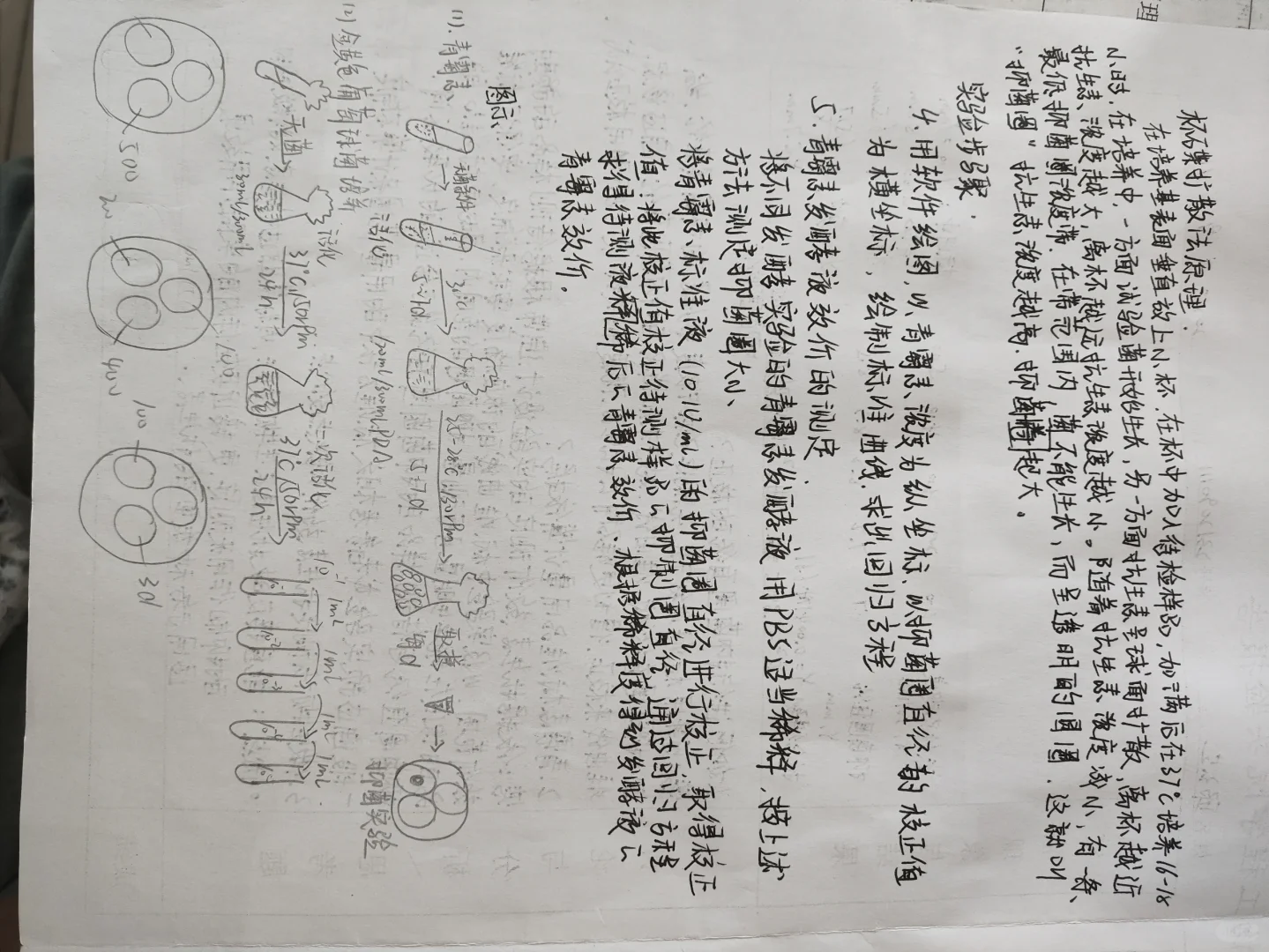 发酵工程实验