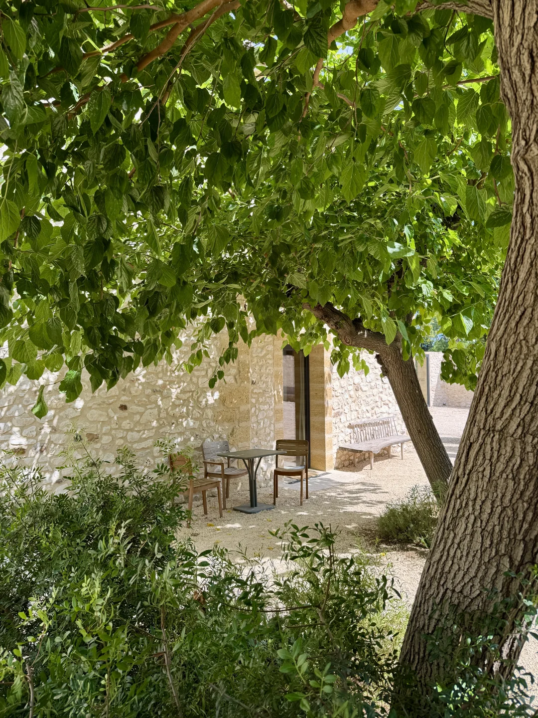 住进了南法的葡萄酒庄园