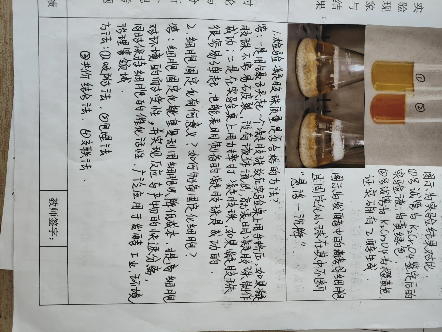 发酵工程实验