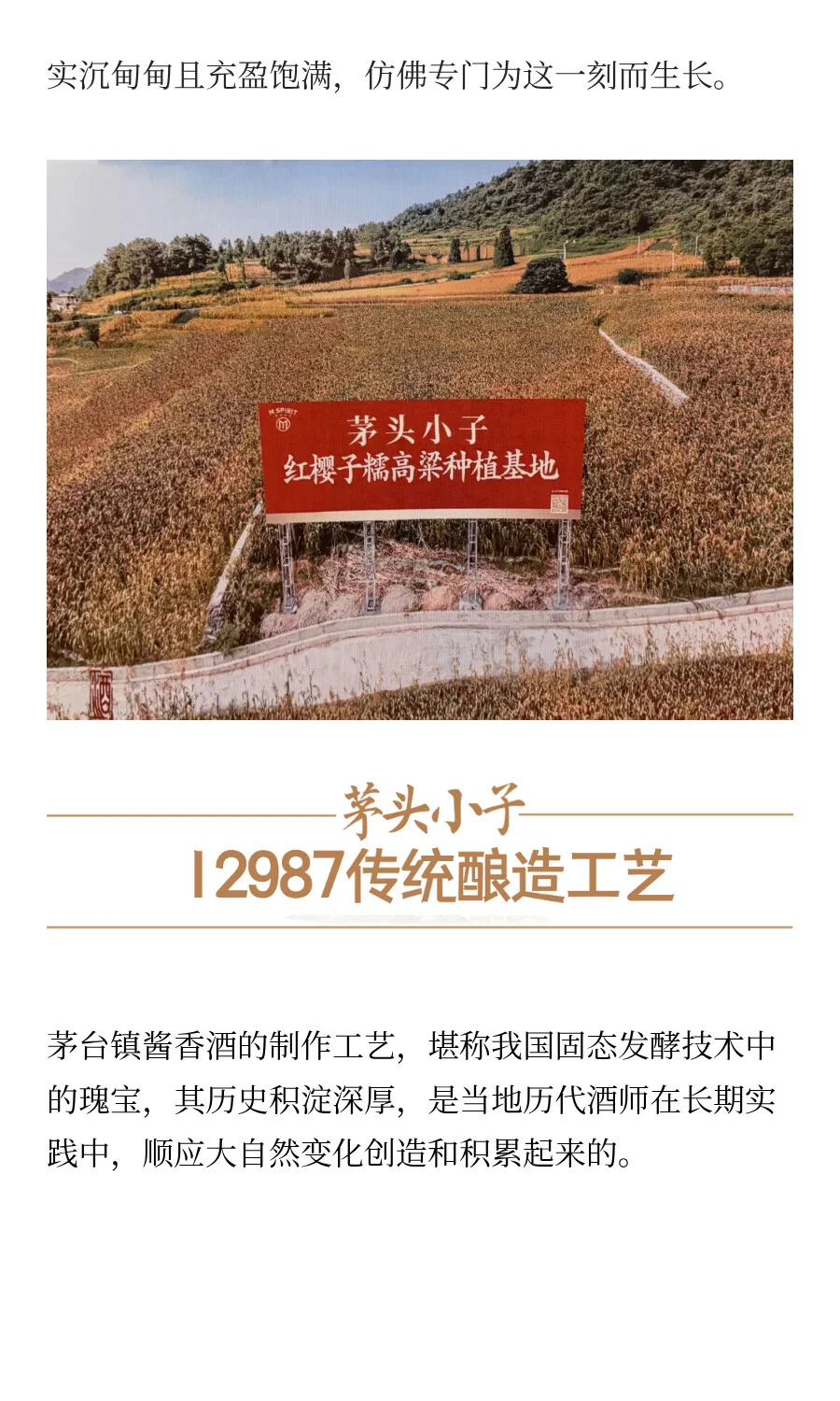 为什么只有茅台镇7.5公里的酱香酒才正宗