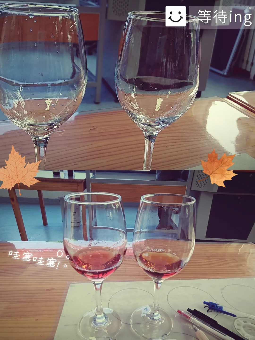 西北农林科技大学学习葡萄酒的生活碎片?