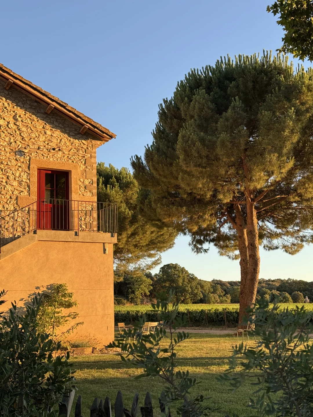 住进了南法的葡萄酒庄园