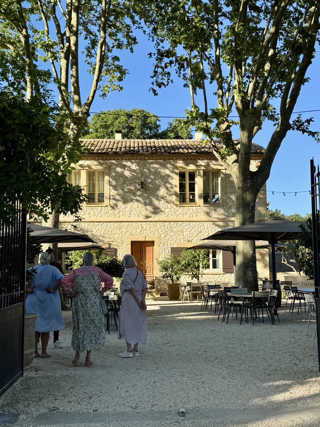 住进了南法的葡萄酒庄园