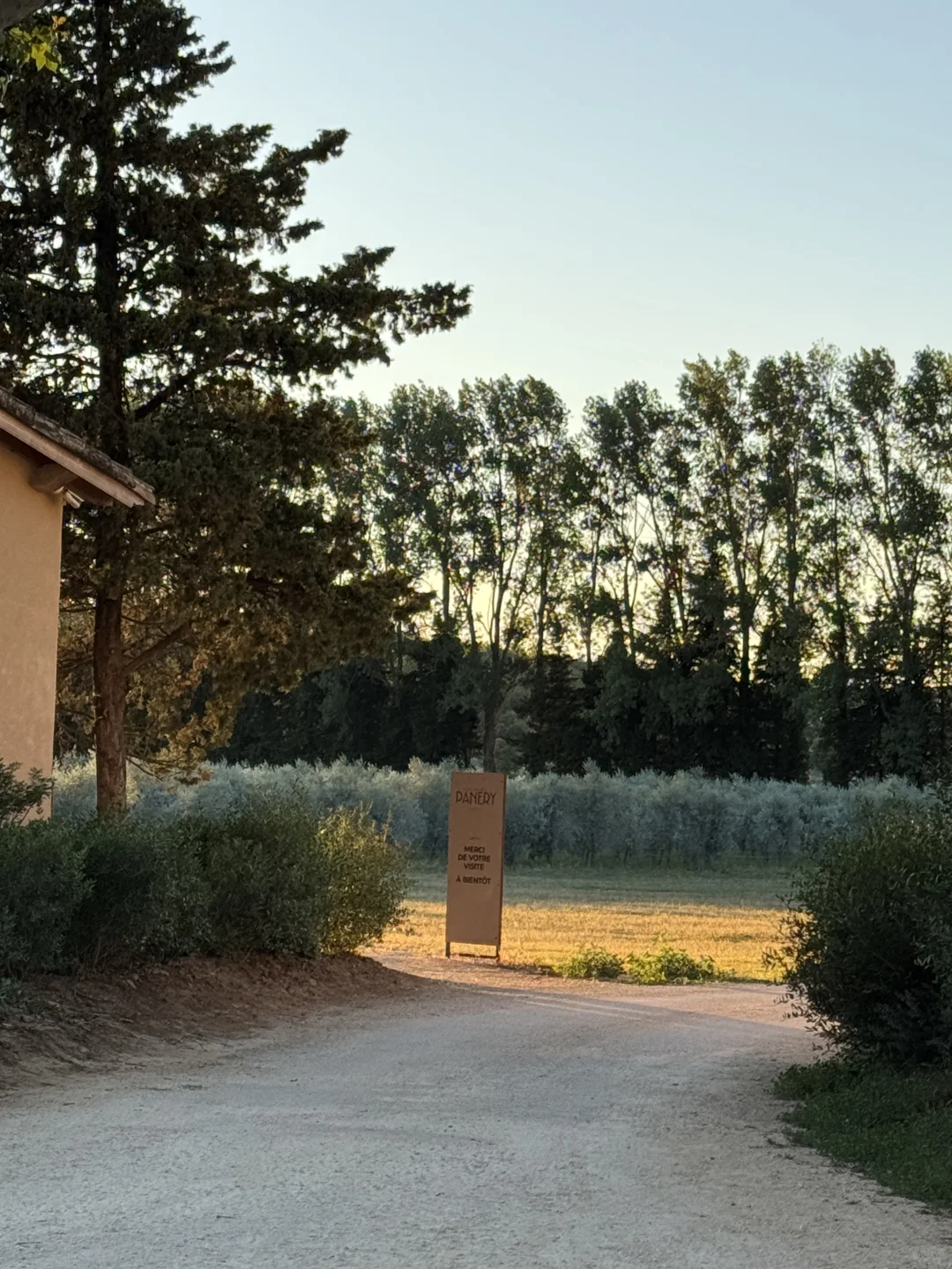 住进了南法的葡萄酒庄园