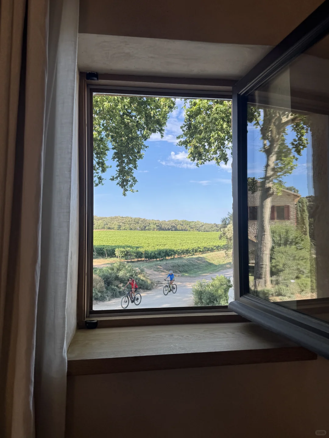 住进了南法的葡萄酒庄园