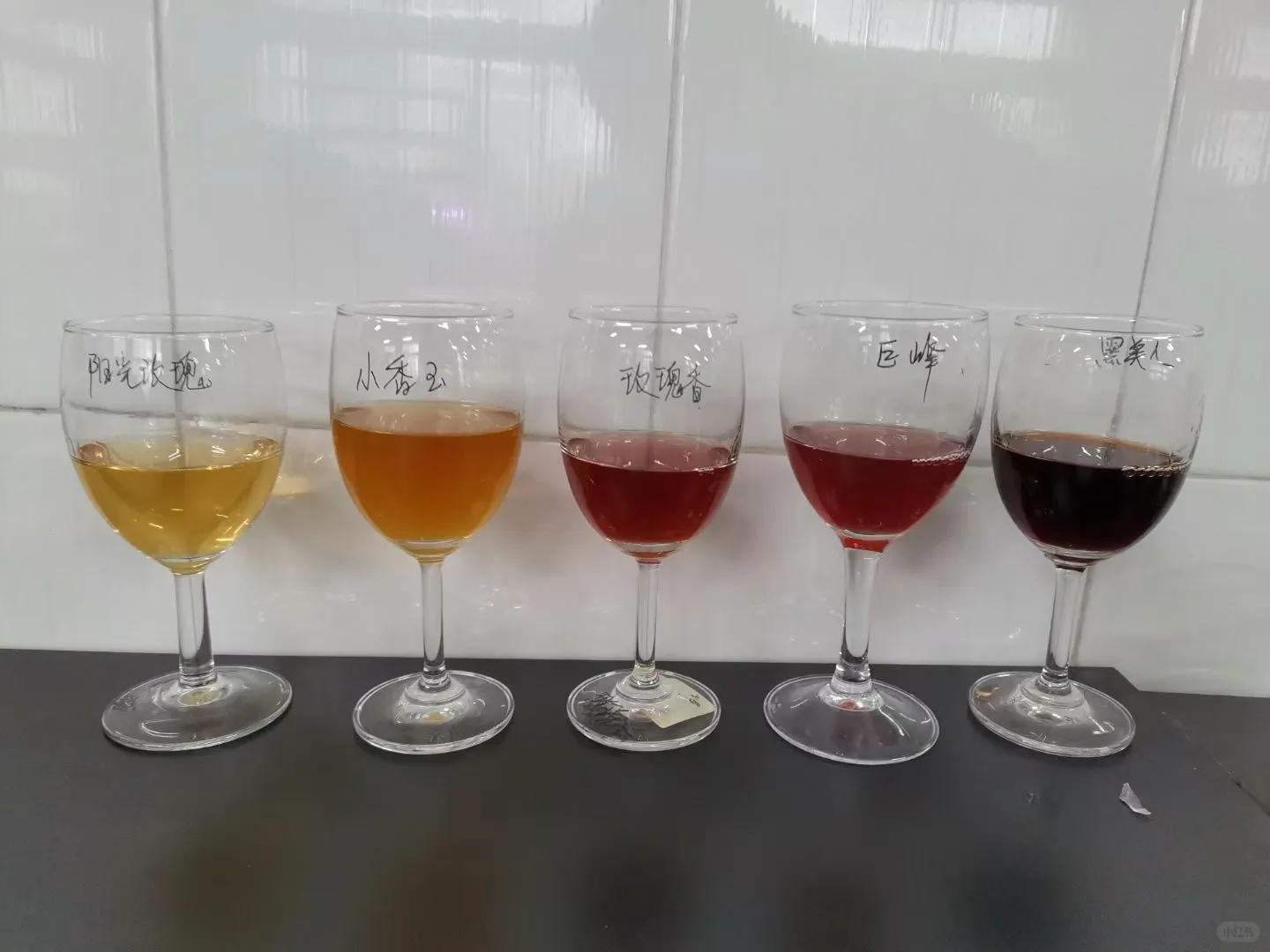 大学的葡萄酒课