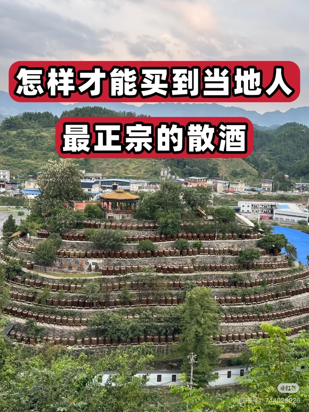 怎么才能喝到正宗本地人喝的口粮酒呢?