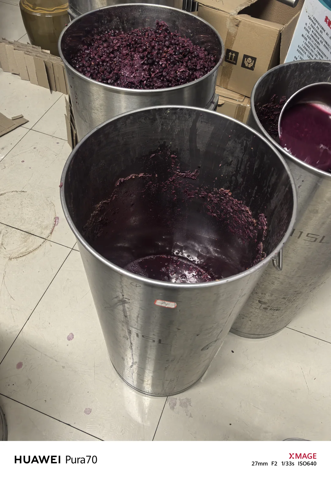 实验室酿葡萄酒?