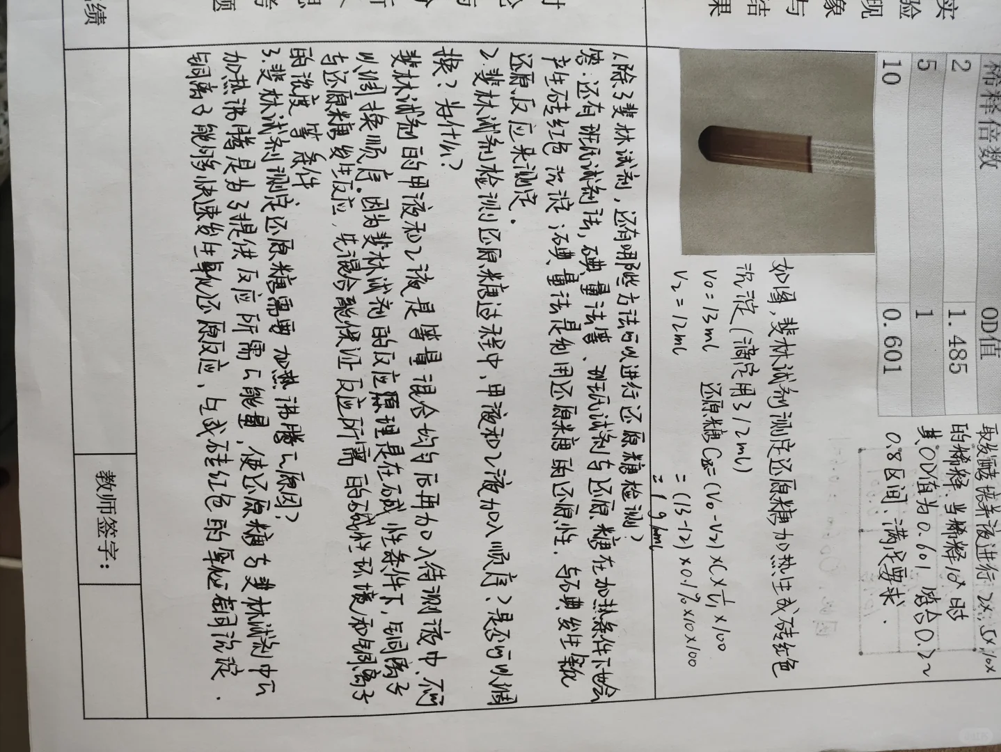 发酵工程实验
