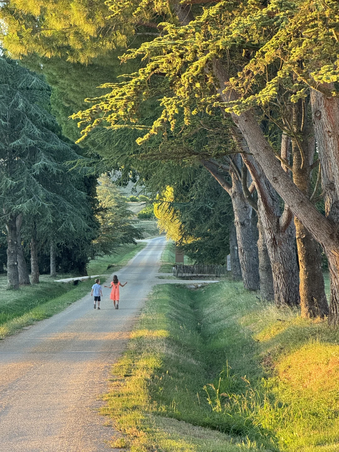 住进了南法的葡萄酒庄园