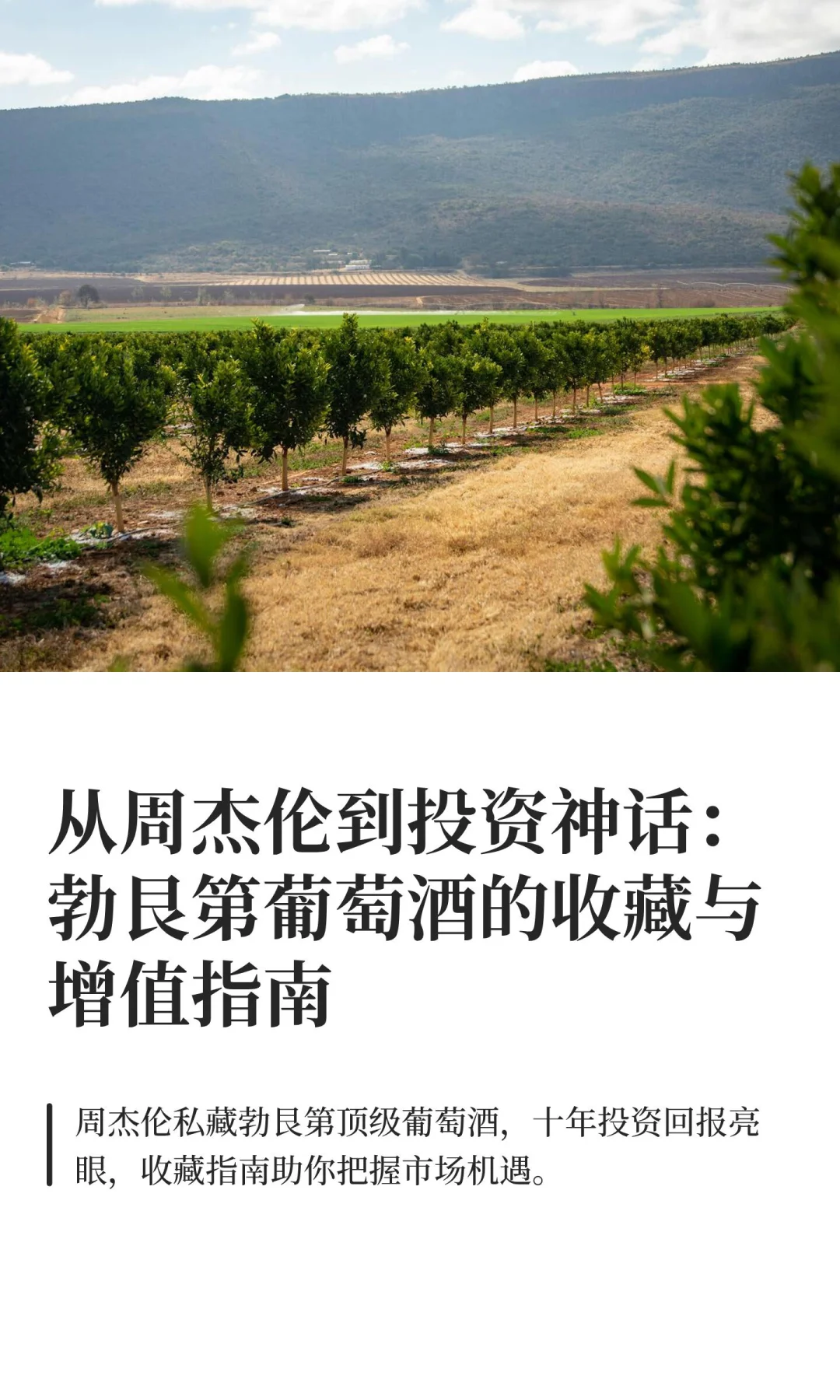 从周杰伦到投资神话：勃艮第葡萄酒的收藏与