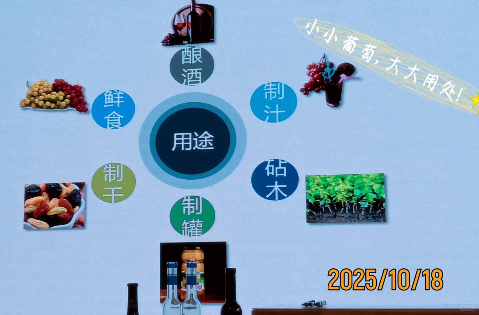 西北农林科技大学学习葡萄酒的生活碎片?