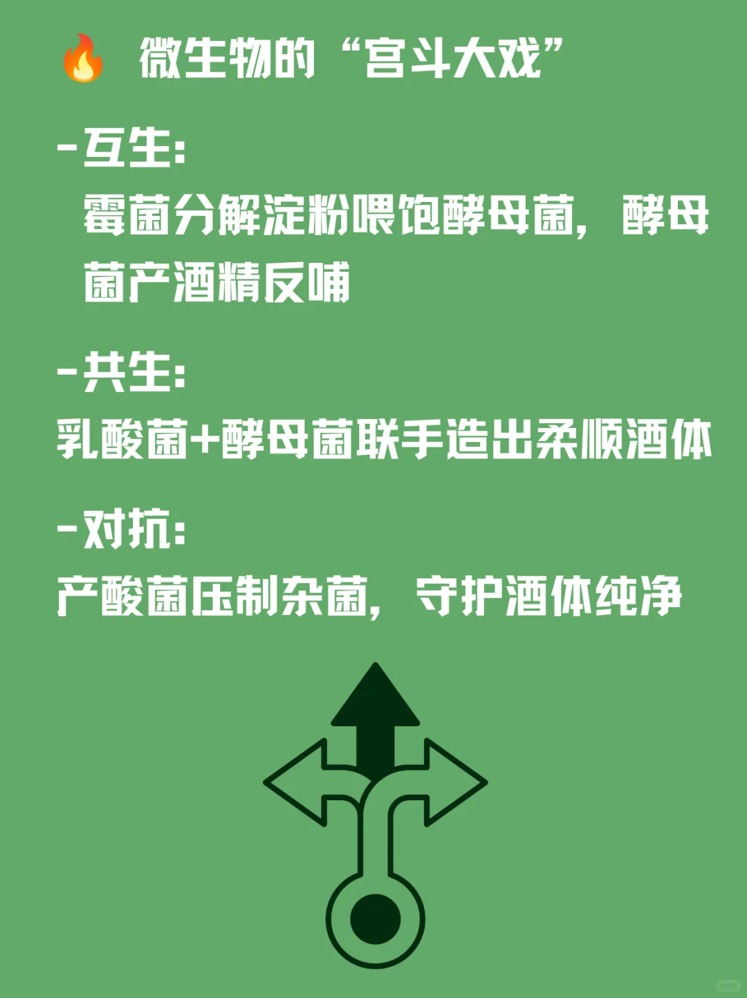 看不见的酿酒师｜白酒里的神秘微生物军团