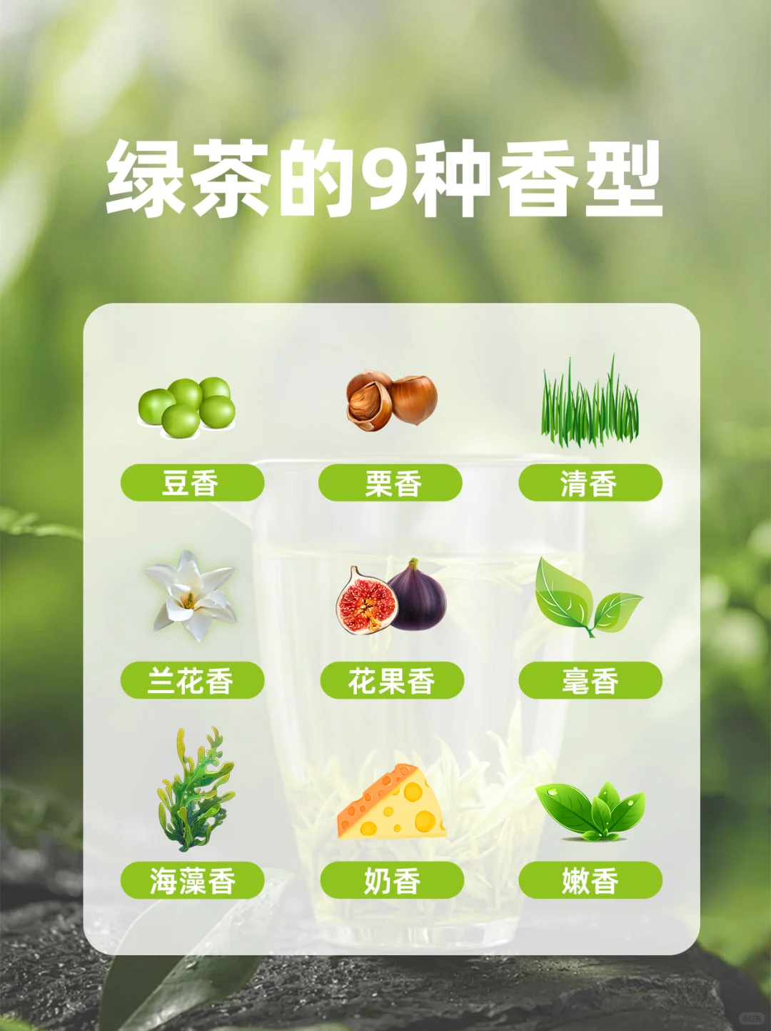 常见绿茶9大经典香型 哪款是你的心头好？