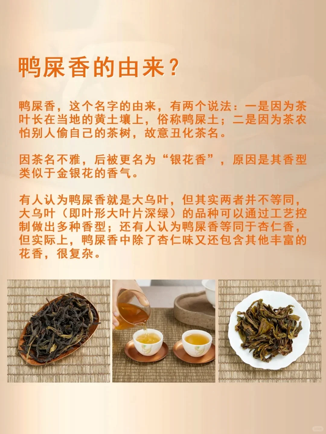 扫盲贴?凤凰单丛十大香型?