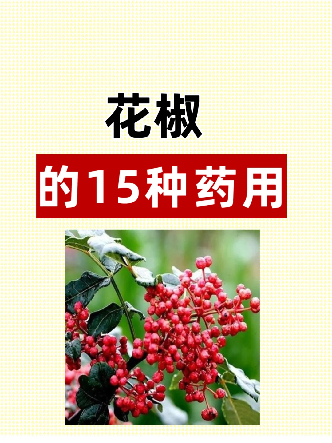 花椒的15种药用，你都知道吗？